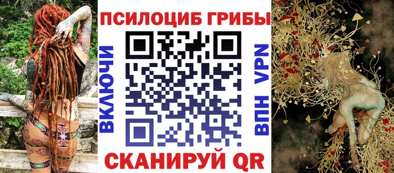 цены   Подольск  Галлюциногенные грибы MAGIC MUSHROOMS 