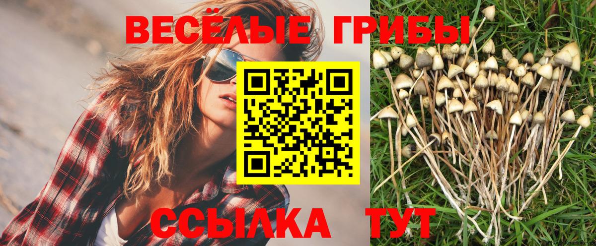 Галлюциногенные грибы Magic Shrooms Подольск