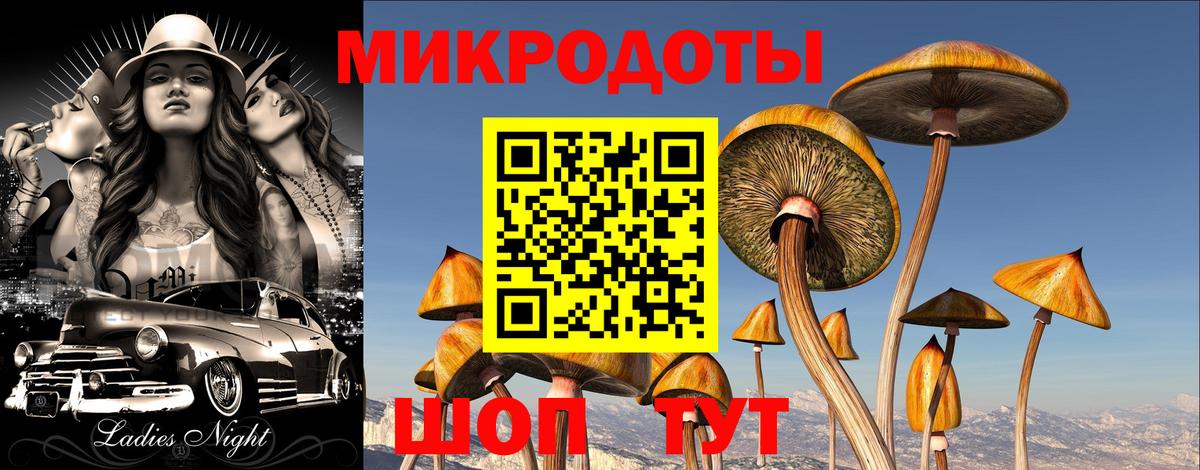 Подольск  Галлюциногенные грибы ЛСД  Вход с VPN  Псилоцибиновые грибы GOLDEN TEACHER 